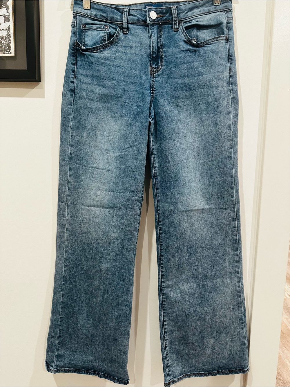 Project Indigo Jean